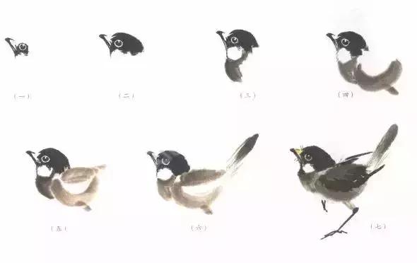 分步骤详解，写意翎毛基本画法，从结构到姿态，跟着学有大收获