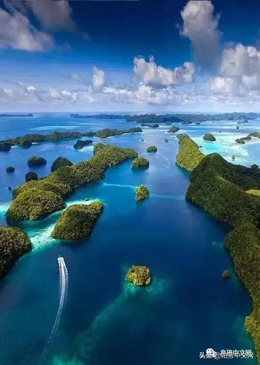 帕劳在哪个国家(帕劳为什么不能去了)