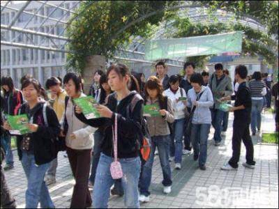 做地推的技巧(地推吸引人话术技巧)