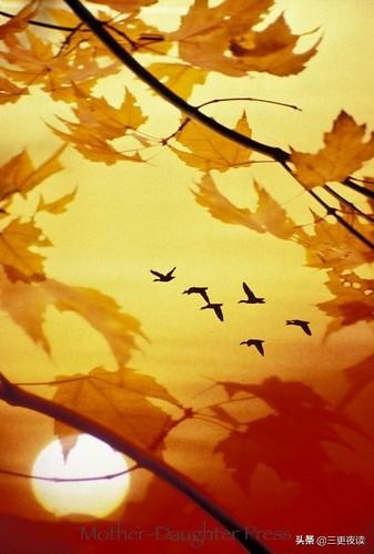 世态炎凉的意思（人情冷暖世态炎凉句子）