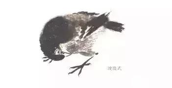 分步骤详解，写意翎毛基本画法，从结构到姿态，跟着学有大收获