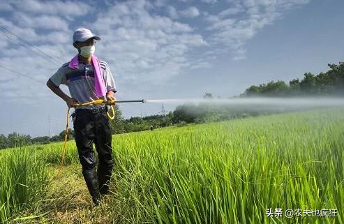 入伏从哪天算起（2020年哪天入伏）