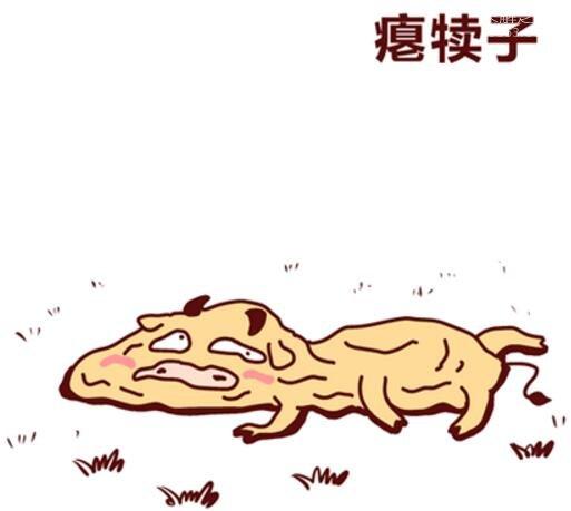 犊子是什么意思（东北话被骂滚犊子怎么回复）