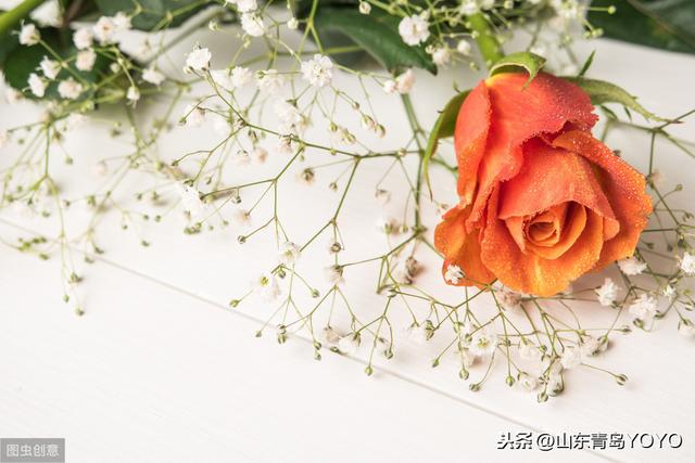 蓝玫瑰花语是什么(送蓝玫瑰代表这个寓意)