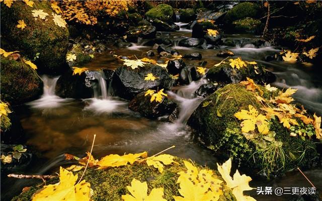 淡泊明志的意思（淡泊明志和宁静致远的意思）