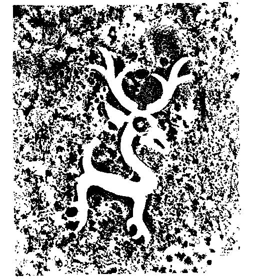 发鸠山景区要门票吗?发鸠山传说九窑十八洞!