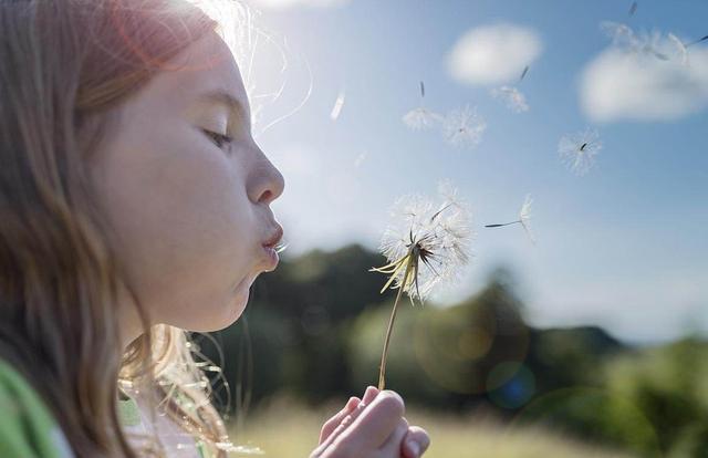 吹毛求疵是什么意思（吹毛求疵是褒义词还是贬义词）